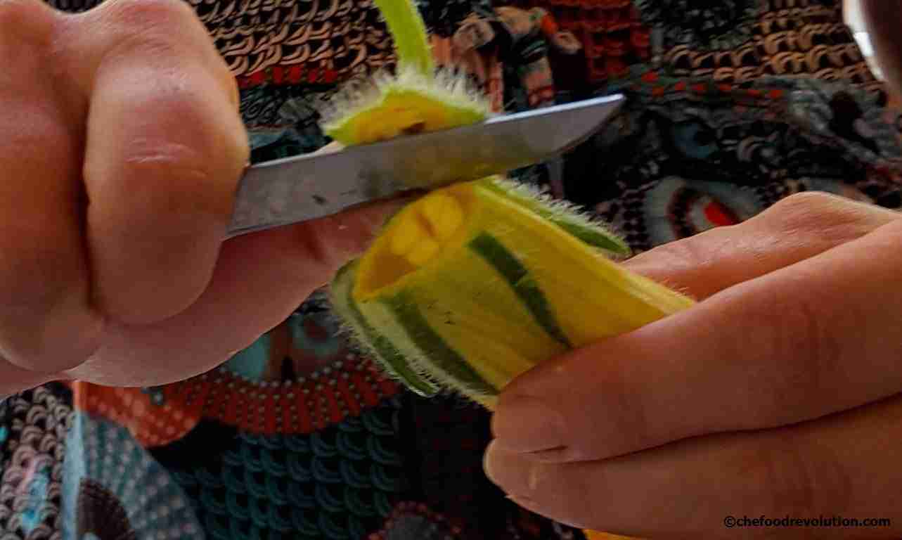 bıçakla kabak çiçeklerinin ayıklanması aşaması
